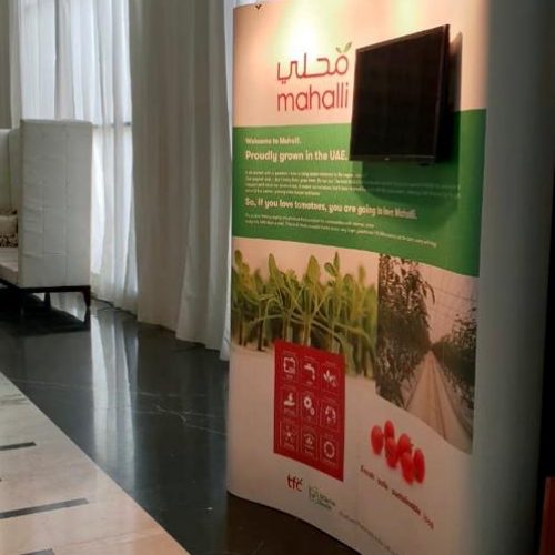 Promotional Standee